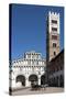 Horse Drawn Carriage Crossing the Piazza San Martino, Lucca, Tuscany, Italy, Europe-James Emmerson-Stretched Canvas