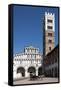 Horse Drawn Carriage Crossing the Piazza San Martino, Lucca, Tuscany, Italy, Europe-James Emmerson-Framed Stretched Canvas