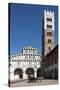 Horse Drawn Carriage Crossing the Piazza San Martino, Lucca, Tuscany, Italy, Europe-James Emmerson-Stretched Canvas