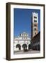 Horse Drawn Carriage Crossing the Piazza San Martino, Lucca, Tuscany, Italy, Europe-James Emmerson-Framed Photographic Print