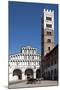 Horse Drawn Carriage Crossing the Piazza San Martino, Lucca, Tuscany, Italy, Europe-James Emmerson-Mounted Photographic Print