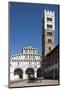 Horse Drawn Carriage Crossing the Piazza San Martino, Lucca, Tuscany, Italy, Europe-James Emmerson-Mounted Photographic Print