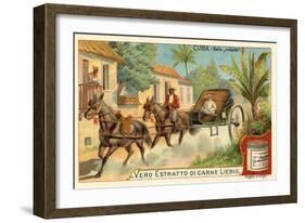 Horse-Drawn Carriage, Cuba-null-Framed Giclee Print