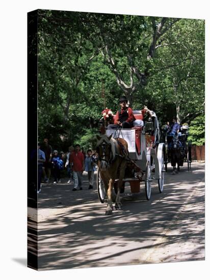Horse Drawn Carriage in Central Park, Manhattan, New York, New York State, USA-Yadid Levy-Stretched Canvas