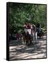 Horse Drawn Carriage in Central Park, Manhattan, New York, New York State, USA-Yadid Levy-Framed Stretched Canvas