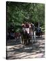 Horse Drawn Carriage in Central Park, Manhattan, New York, New York State, USA-Yadid Levy-Stretched Canvas