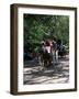 Horse Drawn Carriage in Central Park, Manhattan, New York, New York State, USA-Yadid Levy-Framed Photographic Print