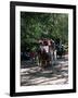 Horse Drawn Carriage in Central Park, Manhattan, New York, New York State, USA-Yadid Levy-Framed Photographic Print