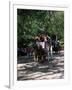 Horse Drawn Carriage in Central Park, Manhattan, New York, New York State, USA-Yadid Levy-Framed Photographic Print