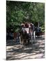Horse Drawn Carriage in Central Park, Manhattan, New York, New York State, USA-Yadid Levy-Mounted Photographic Print