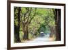 Horse-Drawn Carriage in Inwa, Myanmar-gnomeandi-Framed Photographic Print