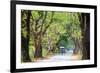 Horse-Drawn Carriage in Inwa, Myanmar-gnomeandi-Framed Photographic Print