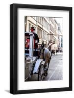 Horse-Drawn Carriage in Krakow, Poland.-Curioso Travel Photography-Framed Photographic Print