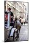 Horse-Drawn Carriage in Krakow, Poland.-Curioso Travel Photography-Mounted Photographic Print