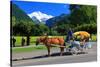 Horse-drawn Carriage on Hoeheweg Street with View of the Jungfrau Massif, Interlaken-null-Stretched Canvas