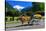 Horse-drawn Carriage on Hoeheweg Street with View of the Jungfrau Massif, Interlaken-null-Stretched Canvas