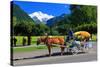 Horse-drawn Carriage on Hoeheweg Street with View of the Jungfrau Massif, Interlaken-null-Stretched Canvas