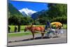 Horse-drawn Carriage on Hoeheweg Street with View of the Jungfrau Massif, Interlaken-null-Mounted Art Print
