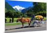 Horse-drawn Carriage on Hoeheweg Street with View of the Jungfrau Massif, Interlaken-null-Mounted Art Print