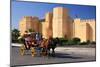 Horse drawn carriage ride in front of the Ribat in Monastir, Tunisia-null-Mounted Art Print