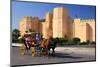 Horse drawn carriage ride in front of the Ribat in Monastir, Tunisia-null-Mounted Art Print