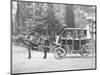 Horse Drawn Carriage-null-Mounted Photographic Print