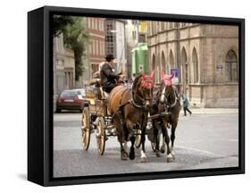 Horse Drawn Carriages, Weimar, Thuringen, Germany-Walter Bibikow-Framed Stretched Canvas