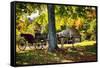 Horse-drawn Carrieage Under A Tree-George Oze-Framed Stretched Canvas