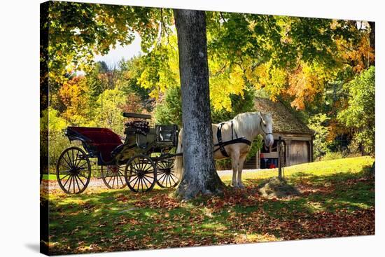 Horse-drawn Carrieage Under A Tree-George Oze-Stretched Canvas