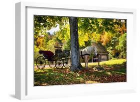 Horse-drawn Carrieage Under A Tree-George Oze-Framed Photographic Print