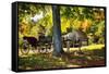 Horse-drawn Carrieage Under A Tree-George Oze-Framed Stretched Canvas