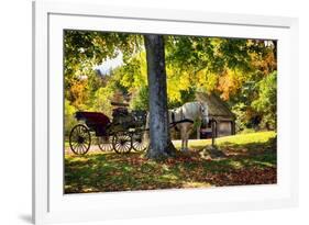 Horse-drawn Carrieage Under A Tree-George Oze-Framed Photographic Print