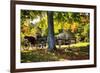 Horse-drawn Carrieage Under A Tree-George Oze-Framed Photographic Print