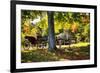 Horse-drawn Carrieage Under A Tree-George Oze-Framed Photographic Print