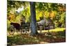 Horse-drawn Carrieage Under A Tree-George Oze-Mounted Photographic Print