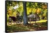 Horse-drawn Carrieage Under A Tree-George Oze-Framed Stretched Canvas