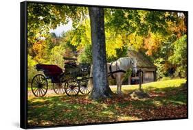 Horse-drawn Carrieage Under A Tree-George Oze-Framed Stretched Canvas