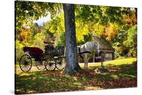 Horse-drawn Carrieage Under A Tree-George Oze-Stretched Canvas
