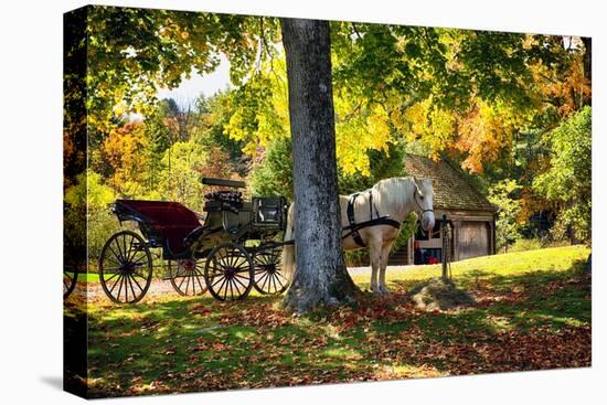 Horse-drawn Carrieage Under A Tree-George Oze-Stretched Canvas
