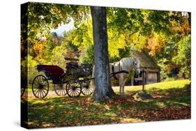 Horse-drawn Carrieage Under A Tree-George Oze-Stretched Canvas