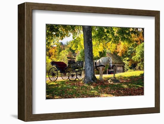 Horse-drawn Carrieage Under A Tree-George Oze-Framed Photographic Print