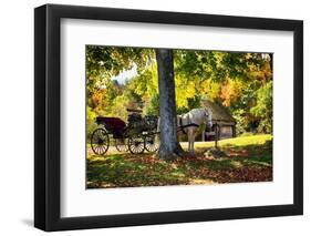 Horse-drawn Carrieage Under A Tree-George Oze-Framed Photographic Print