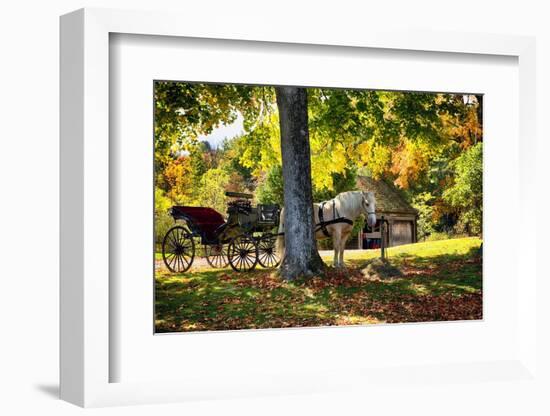 Horse-drawn Carrieage Under A Tree-George Oze-Framed Photographic Print