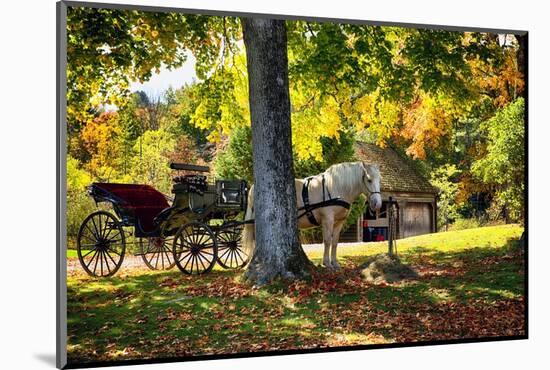 Horse-drawn Carrieage Under A Tree-George Oze-Mounted Photographic Print