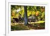 Horse-drawn Carrieage Under A Tree-George Oze-Framed Photographic Print