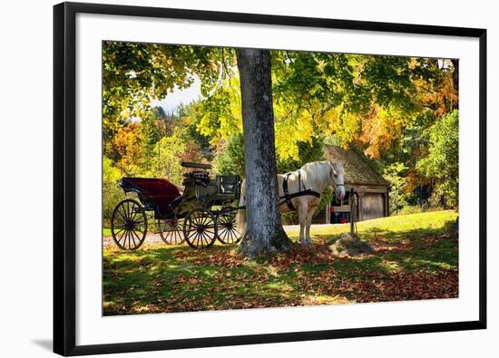 Horse-drawn Carrieage Under A Tree-George Oze-Framed Photographic Print