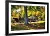 Horse-drawn Carrieage Under A Tree-George Oze-Framed Photographic Print