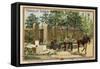 Horse-Drawn Cart for Transporting Stone-null-Framed Stretched Canvas