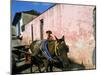 Horse-Drawn Cart in Street of the Colonial City, Trinidad, Sancti Spiritus Region, Cuba-Bruno Barbier-Mounted Photographic Print