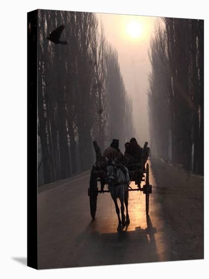 Horse Drawn Cart Makes its Way Toward the Center of the City on a Cold Morning in Srinagar, India-null-Stretched Canvas